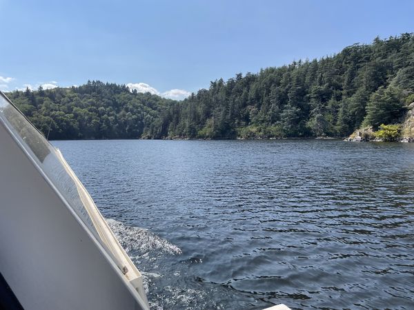 Une virée en bateau sur le Lac de Villerest