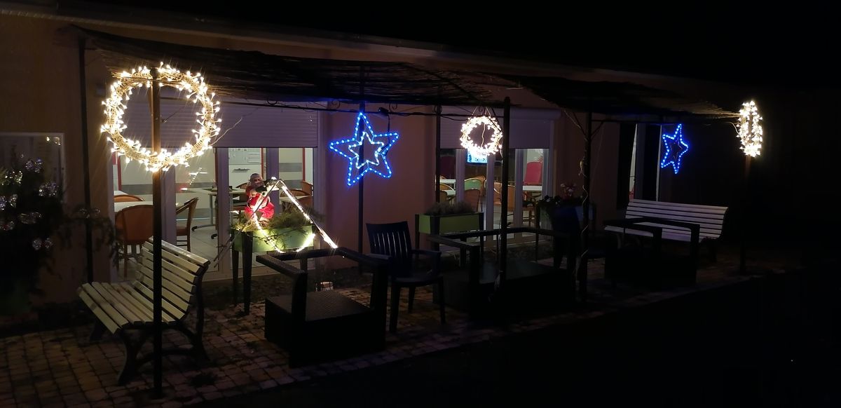 Les Thuyas s'illuminent aux couleurs de Noel...